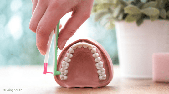 Die Reinigung der Zahnzwischenräume mit wingbrush auf Information Mundgesundheit.